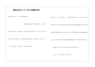精选业务员个人工作计划模板五篇
