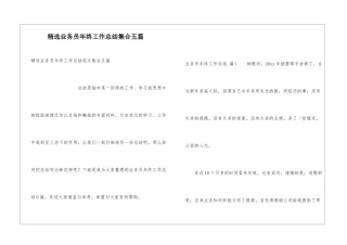 精选业务员年终工作总结集合五篇