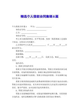 精选个人借款合同集锦6篇