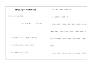 精选个人实习计划集锦八篇