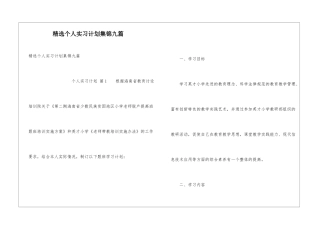 精选个人实习计划集锦九篇