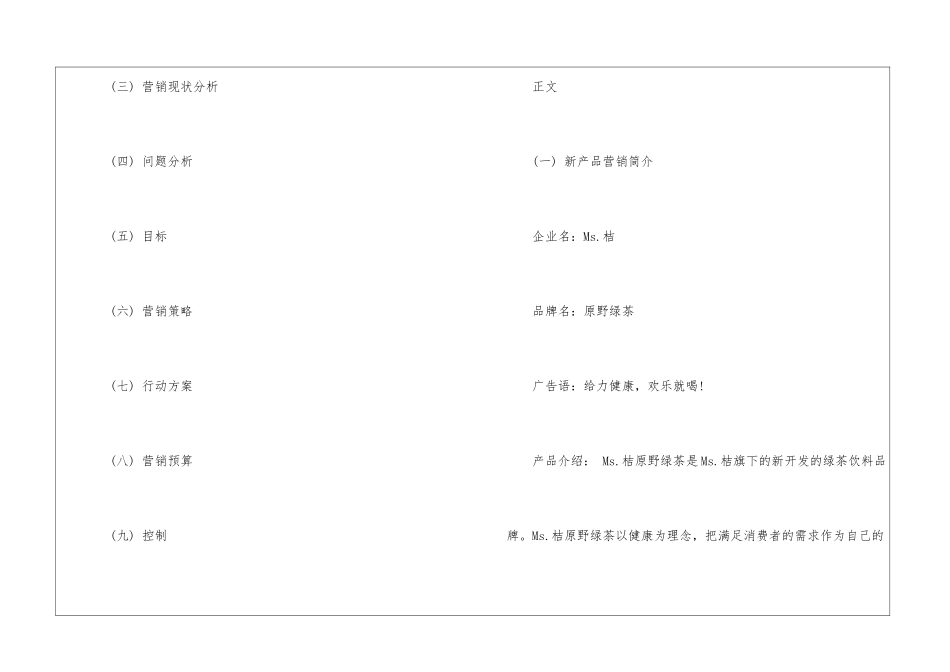 精选产品销售计划4篇_第2页