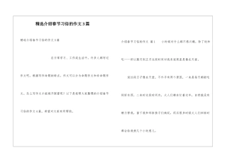 精选介绍春节习俗的作文3篇