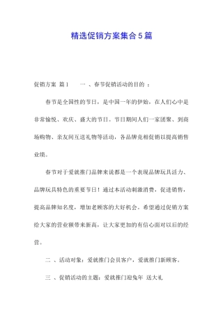 精选促销方案集合5篇