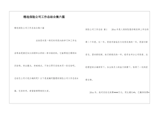 精选保险公司工作总结合集六篇