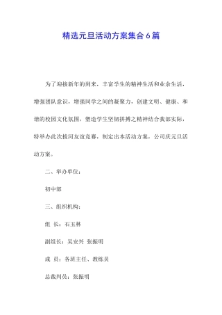 精选元旦活动方案集合6篇