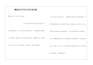 精选公司下半年工作计划4篇