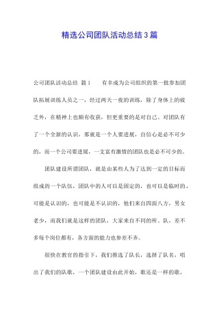 精选公司团队活动总结3篇