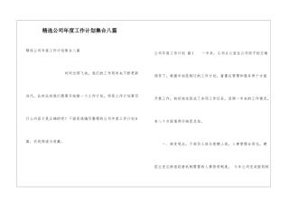 精选公司年度工作计划集合八篇