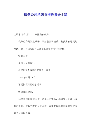 精选公司承诺书模板集合6篇