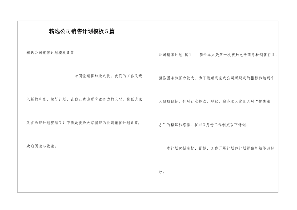 精选公司销售计划模板5篇_第1页