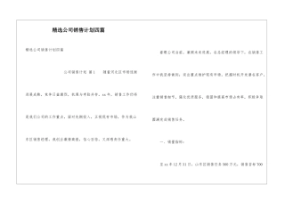 精选公司销售计划四篇