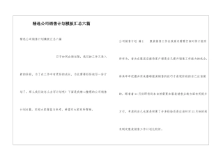 精选公司销售计划模板汇总六篇