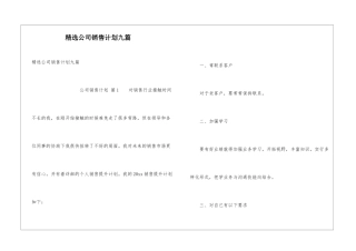 精选公司销售计划九篇