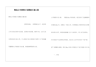 精选公司销售计划模板汇编6篇