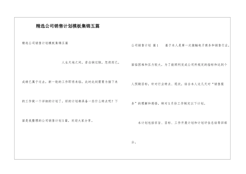 精选公司销售计划模板集锦五篇_第1页