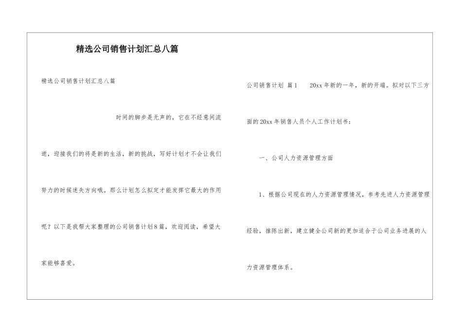 精选公司销售计划汇总八篇_第1页
