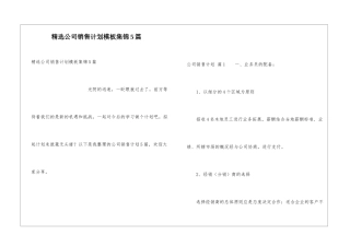 精选公司销售计划模板集锦5篇