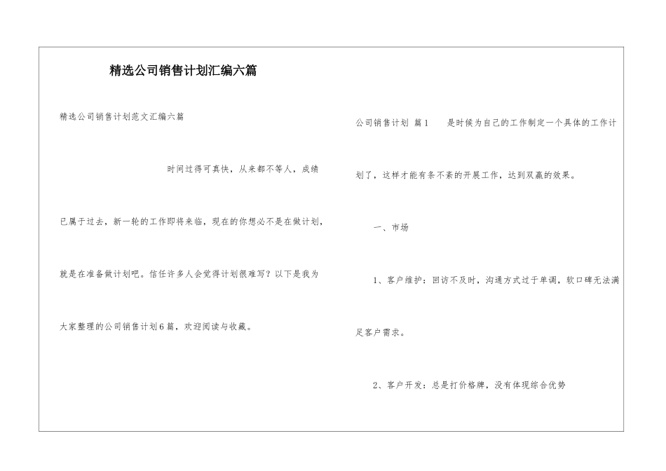 精选公司销售计划汇编六篇_第1页