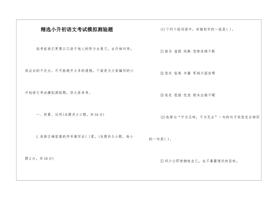 精选小升初语文考试模拟测验题-_第1页