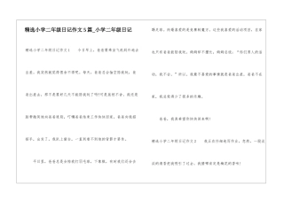 精选小学二年级日记作文5篇-小学二年级日记