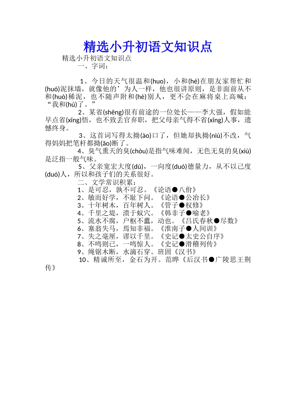 精选小升初语文知识点_第1页