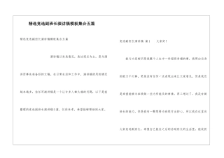 精选竞选副班长演讲稿模板集合五篇