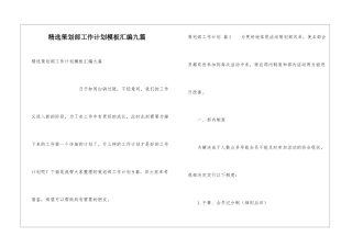 精选策划部工作计划模板汇编九篇