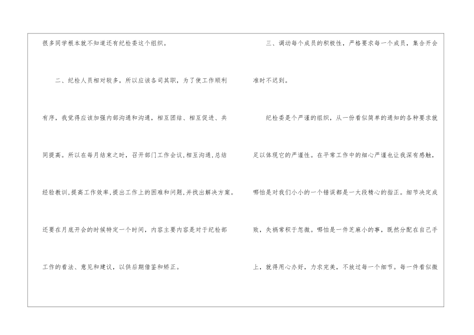 精选纪检工作计划4篇_第2页