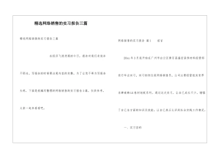 精选网络销售的实习报告三篇
