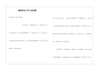 精选职业工作计划四篇