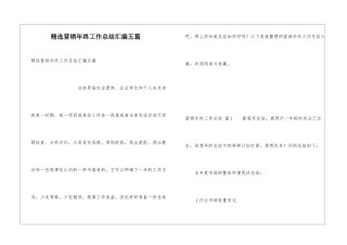 精选营销年终工作总结汇编五篇