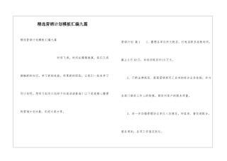 精选营销计划模板汇编九篇