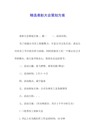 精选表彰大会策划方案