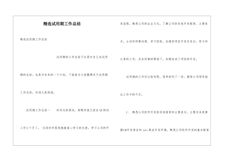精选试用期工作总结_第1页