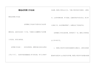 精选试用期工作总结