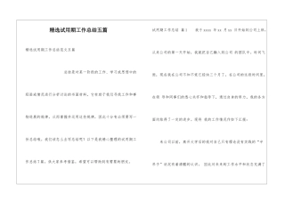 精选试用期工作总结五篇
