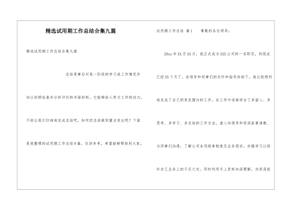 精选试用期工作总结合集九篇_第1页