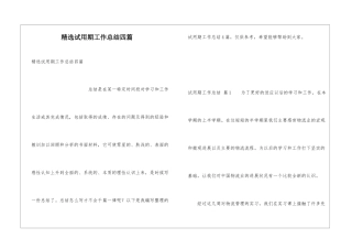 精选试用期工作总结四篇