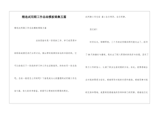 精选试用期工作总结模板锦集五篇