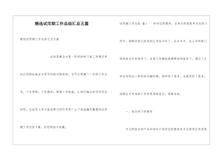 精选试用期工作总结汇总五篇