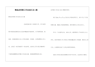 精选试用期工作总结汇总5篇