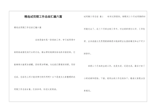 精选试用期工作总结汇编六篇