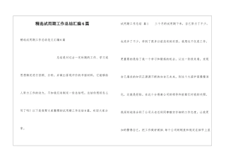 精选试用期工作总结汇编6篇