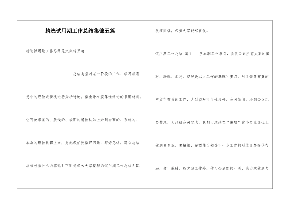 精选试用期工作总结集锦五篇_第1页