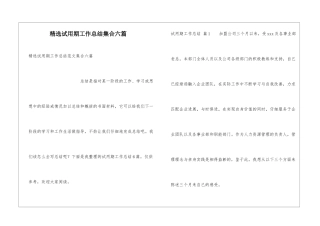 精选试用期工作总结集合六篇