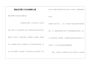 精选试用期工作总结集锦九篇