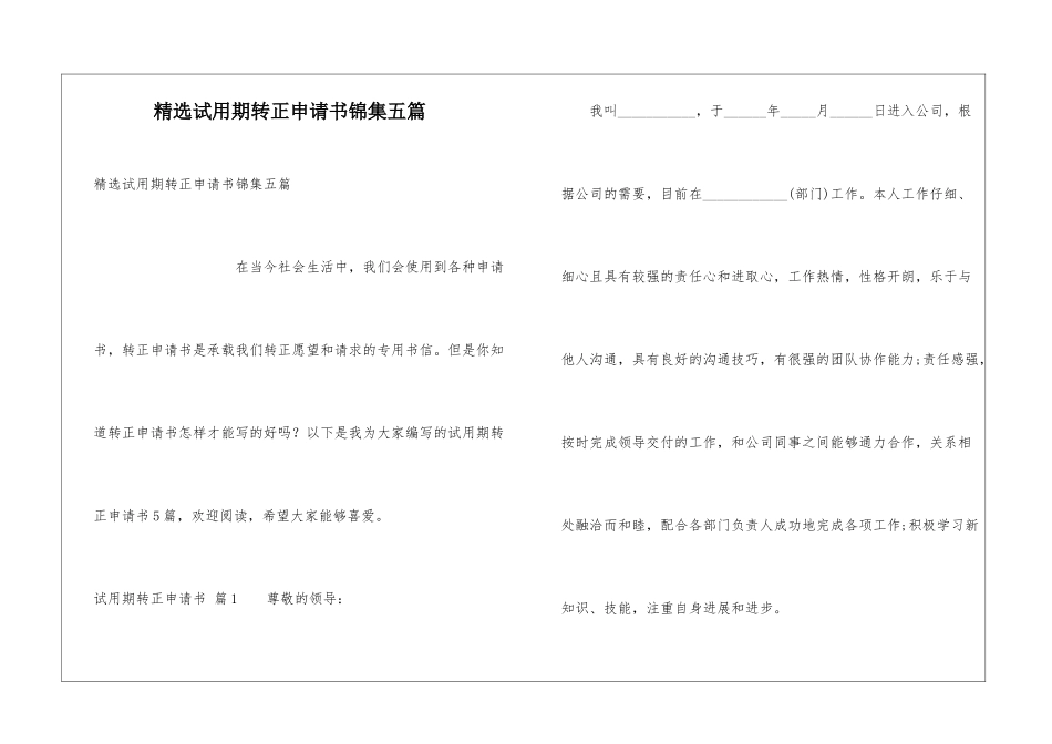 精选试用期转正申请书锦集五篇_第1页