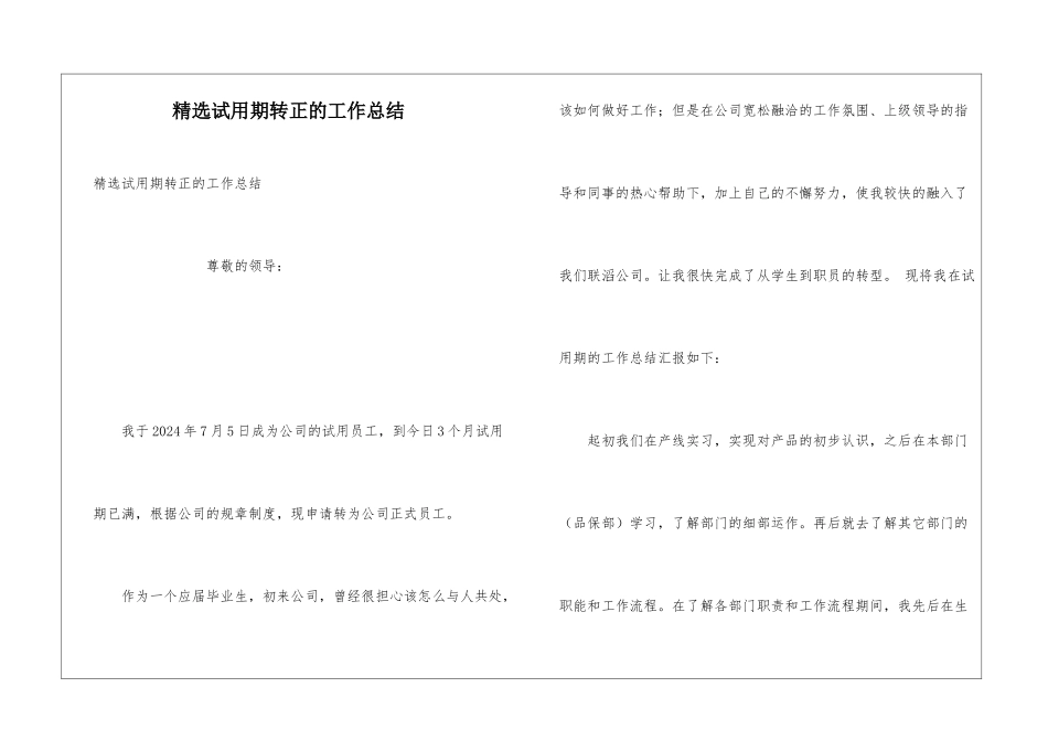 精选试用期转正的工作总结_第1页