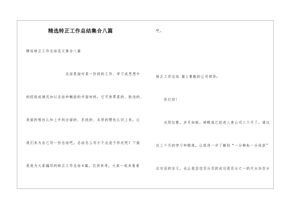 精选转正工作总结集合八篇_第1页